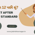 What after 12th standard?