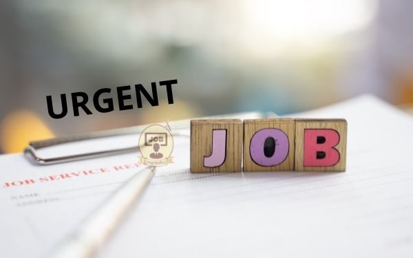 Urgent job in bhavnagar